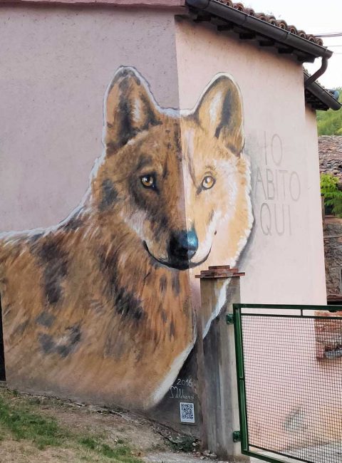 braccano murales lupo