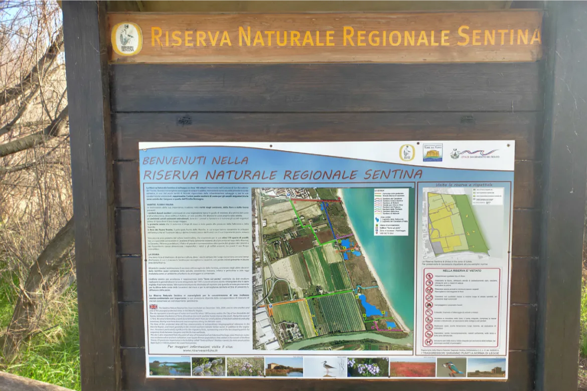 riserva naturale regionale sentina mappa e informazioni