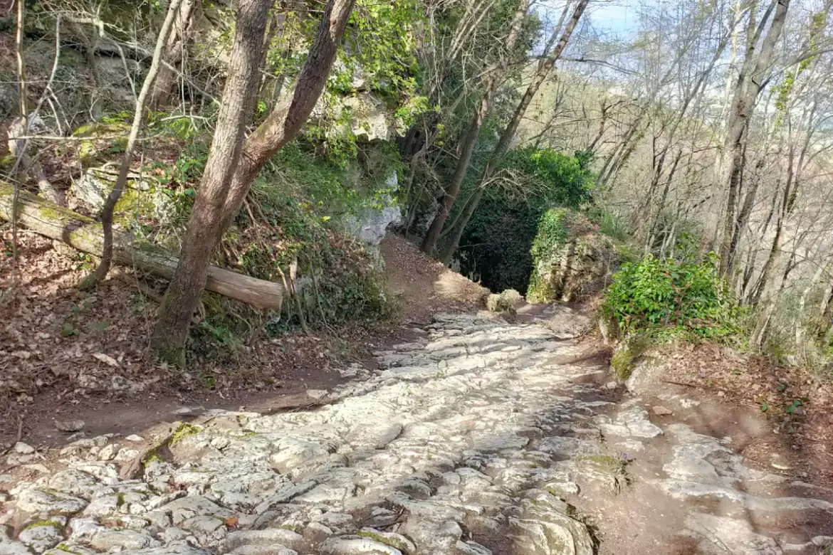 sentiero con fondo roccioso per raggiungere l'eremo di san marco a colle san marco provincia di ascoli piceno